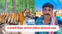 Chandrapur News: 19 वाघांची शिकार करणाऱ्या बहेलिया टोळीच्या म्होरक्याला अटक, चंद्रपुरात सापडल्याने वनखात्याचं टेन्शन वाढलं