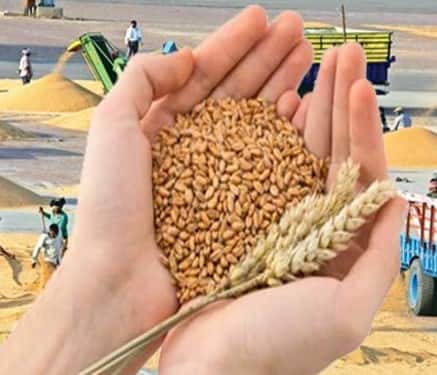 ਸਰਕਾਰ ਰਾਸ਼ਨ ਲਈ ਰਾਸ਼ਨ ਕਾਰਡ ਜਾਰੀ ਕਰਦੀ ਹੈ। ਪਰ ਹੁਣ ਸਰਕਾਰ ਨੇ ਰਾਸ਼ਨ ਕਾਰਡ ਧਾਰਕਾਂ ਲਈ ਨਵੀਂ ਦਿਸ਼ਾ-ਨਿਰਦੇਸ਼ ਜਾਰੀ ਕੀਤੀ ਹੈ। ਜਿਸ ਦੇ ਤਹਿਤ ਸਿਰਫ ਕੁਝ ਰਾਸ਼ਨ ਕਰਨ ਵਾਲੇ ਕਾਰਡ ਧਾਰਕਾਂ ਨੂੰ ਲਾਭ ਪ੍ਰਾਪਤ ਹੋਣਗੇ। ਰਾਸ਼ਨ ਕਾਰਡ ਧਾਰਕਾਂ ਨੂੰ 15 ਫਰਵਰੀ ਤੋਂ ਰਾਸ਼ਨ ਦੀ ਸਹੂਲਤ ਦਾ ਲਾਭ ਨਹੀਂ ਮਿਲੇਗਾ।