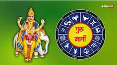 February Grah Gochar 2025: फरवरी में 4 ग्रहों का गोचर, कुंभ सहित इन 4 राशियों के जीवन में धन लाभ के योग