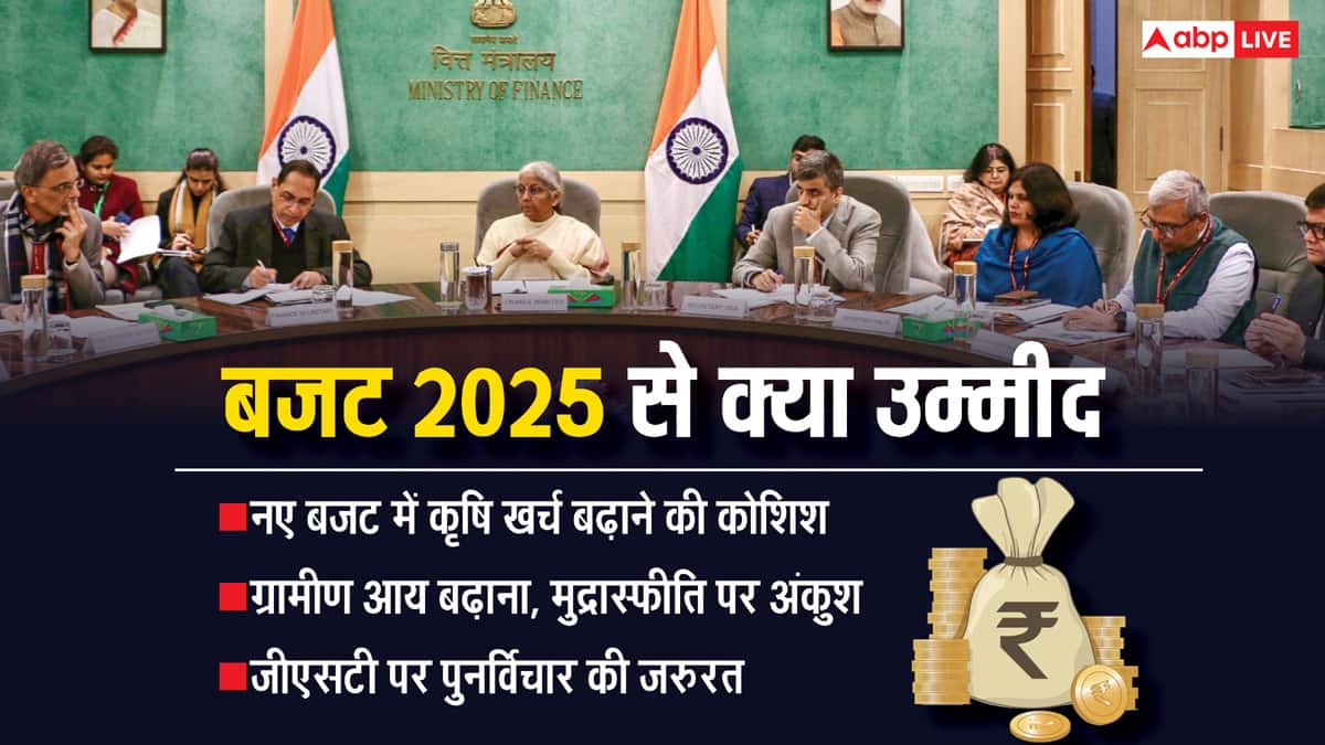वित्त मंत्री की भरी है टोकरी, क्या बजट 2025 में खेती-नौकरी और व्यापार पर रहेगा फोकस?