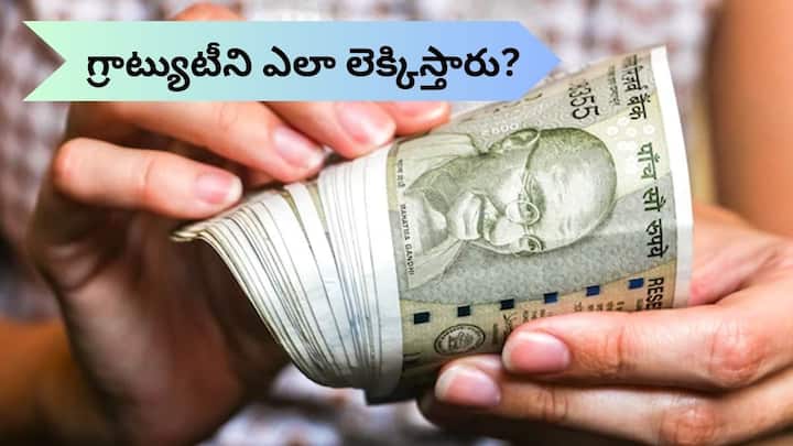 how to calculate gratuity when employee get eligible for gratuity and how is gratuity calculated Gratuity Calculator: ఎన్ని సంవత్సరాలు పని చేస్తే గ్రాట్యుటీ లభిస్తుంది, కార్మిక చట్టం రూల్స్‌ ఏంటి?