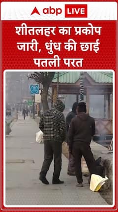 Cold Wave Grips Srinagar, Thick Fog Covers The Region | ABP Live