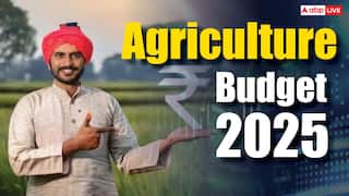 Budget 2025 Expectations: किसान पेट भरने से आगे बढ़कर लाएंगे विदेशी मुद्रा, एग्रीकल्चर को बजट का इतना मिलेगा सपोर्ट