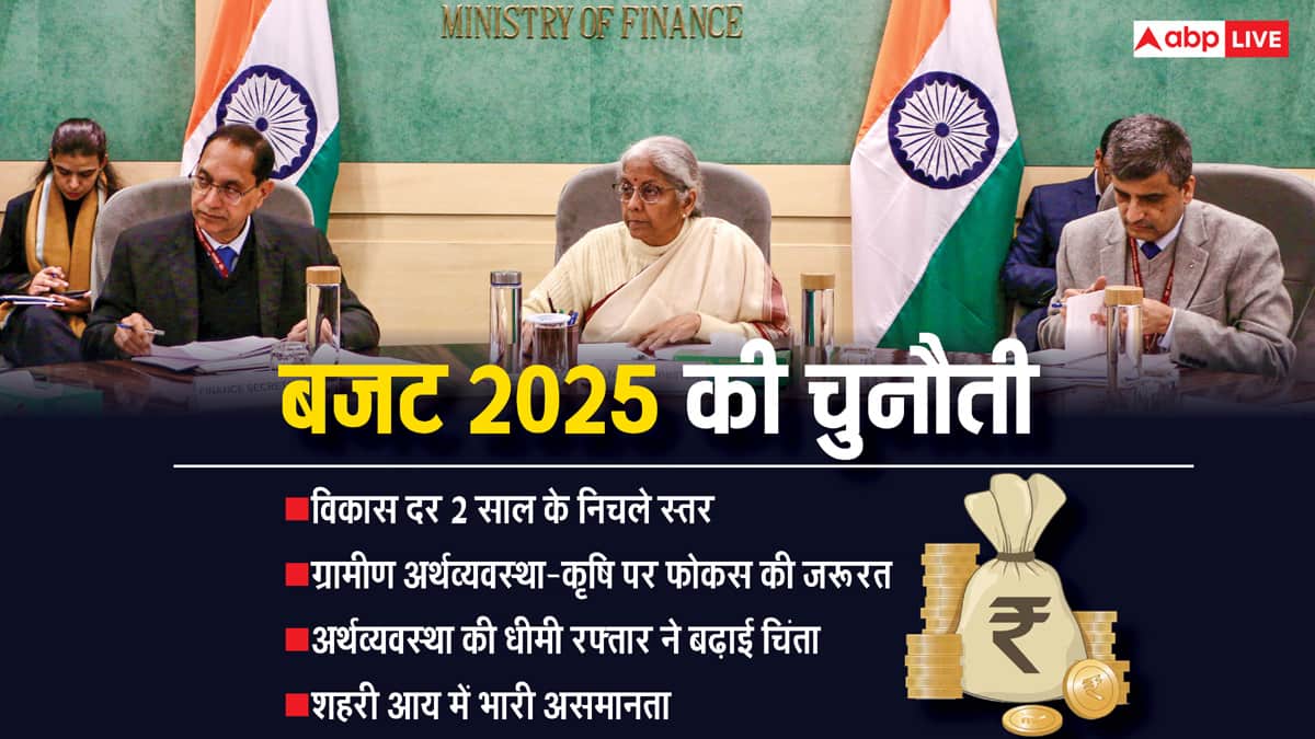 वित्त मंत्री की भरी है टोकरी, क्या बजट 2025 में खेती-नौकरी और व्यापार पर रहेगा फोकस?