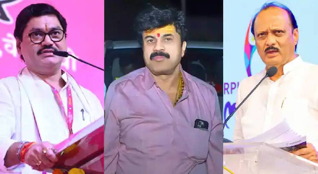 Ajit Pawar : अंजली दमानियांनी कागदपत्र दिली, धनंजय मुंडेंचा राजीनामा घेणार का, अजित पवारांनी रोखठोक सांगितलं! Ajit Pawar clarification over Resignation of Dhananjay Munde After Anjali Damania Accusation over Santosh Deshmukh Murder Case maharashtra politics marathi news Ajit Pawar : अंजली दमानियांनी कागदपत्र दिली, धनंजय मुंडेंचा राजीनामा घेणार का, अजित पवारांनी रोखठोक सांगितलं!