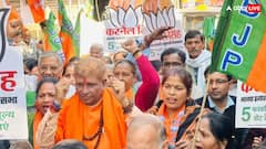 BJP के करनैल सिंह बने सबसे अमीर उम्मीदवार, जानें दिल्ली चुनाव में कितने अरबपति