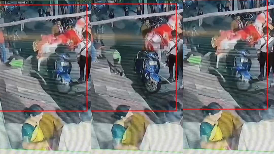 कानपुर में बारात में आई घोड़ी ने ली मासूम की जान, लात पड़ने से हुई मौत, घटना सीसीटीवी में कैद Kanpur wedding procession horse kicked innocent child died on the spot ann कानपुर में बारात में आई घोड़ी ने ली मासूम की जान, लात पड़ने से हुई मौत, घटना सीसीटीवी में कैद