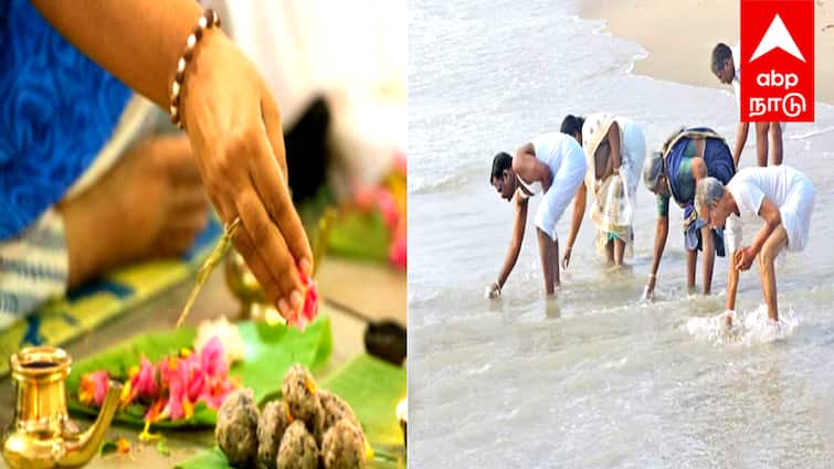 Thai Amavasai 2025 Do you know what to do and what not to do on Thai Amavasai? Thai Amavasai 2025: தை அமாவாசையில் செய்ய வேண்டியவை, செய்யக்கூடாதவை என்னென்ன தெரியுமா ...