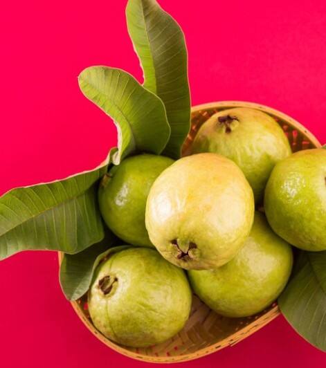 ਅਮਰੂਦ ਇੱਕ ਅਜਿਹਾ ਫਲ ਹੈ ਜਿਸਦੇ ਬੀਜ ਅਤੇ ਪੱਤੇ ਵੀ ਗੁਣਾਂ ਦਾ ਖਜ਼ਾਨਾ ਕਿਹਾ ਜਾਂਦਾ ਹੈ। ਅਮਰੂਦ ਦੇ ਪੱਤਿਆਂ ਦੀ ਵਰਤੋਂ ਨਾ ਸਿਰਫ਼ ਸਿਹਤ ਵਧਾਉਣ ਲਈ ਕੀਤੀ ਜਾ ਸਕਦੀ ਹੈ, ਸਗੋਂ ਸੁੰਦਰਤਾ ਵਧਾਉਣ ਲਈ ਵੀ ਕੀਤੀ ਜਾ ਸਕਦੀ ਹੈ। ਤਾਂ ਆਓ ਜਾਣਦੇ ਹਾਂ ਵਾਲਾਂ ਨੂੰ ਲੰਬੇ ਕਰਨ ਲਈ ਅਮਰੂਦ ਦੇ ਪੱਤਿਆਂ ਦੀ ਵਰਤੋਂ ਕਿਵੇਂ ਕਰੀਏ।