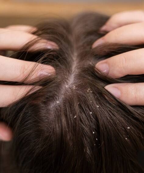 ਅਮਰੂਦ ਦੇ ਪੱਤਿਆਂ ਵਿੱਚ ਮੌਜੂਦ ਵਿਟਾਮਿਨ ਸੀ, ਐਂਟੀ-ਆਕਸੀਡੈਂਟ ਅਤੇ ਫੋਲਿਕ ਐਸਿਡ ਵਾਲਾਂ ਨੂੰ ਮਜ਼ਬੂਤ ਬਣਾਉਂਦੇ ਹਨ ਅਤੇ ਉਨ੍ਹਾਂ ਦੇ ਵਾਧੇ ਨੂੰ ਵਧਾਉਂਦੇ ਹਨ।