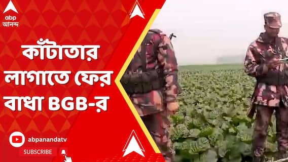 কাঁটাতার লাগাতে ফের বাধা BGB-র I মেখলিগঞ্জ সীমান্তে উসকানি বাংলাদেশের