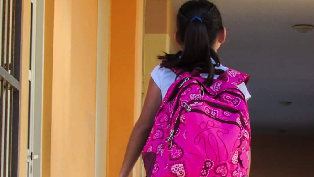 Andhra Pradesh Schools Mandated To Follow 'No Bag' Saturdays Here's Why Andhra Schools Mandated To Follow 'No Bag' Saturdays: Here's Why