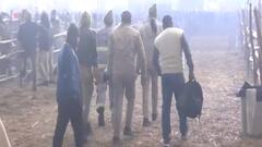 Mahakumbh Stampede: महाकुंभ मेळ्यात मोठी चेंगराचेंगरी; फोटो आले समोर,  प्रत्यक्षदर्शींनी सांगितला, 'आँखो देखा हाल'