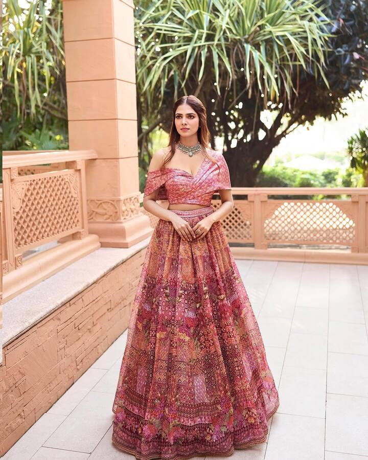 టాలీవుడ్ లో ఫస్ట్ ప్రాజెక్టుకే ఏకంగా పాన్ ఇండియా స్టార్ ప్రభాస్ తో నటించే అవకాశం అందుకుంది. ‘యుధ్రా’ అనే మూవీతో బాలీవుడ్ లో ఎంట్రీ ఇచ్చింది..