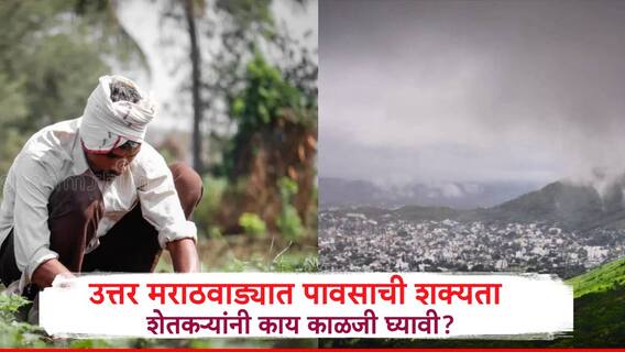 Marathwada Rain:उत्तर मराठवाड्यात येत्या 5 दिवसात वादळी वाऱ्यासह पावसाची शक्यता, शेतकऱ्यांनी काय करावे?