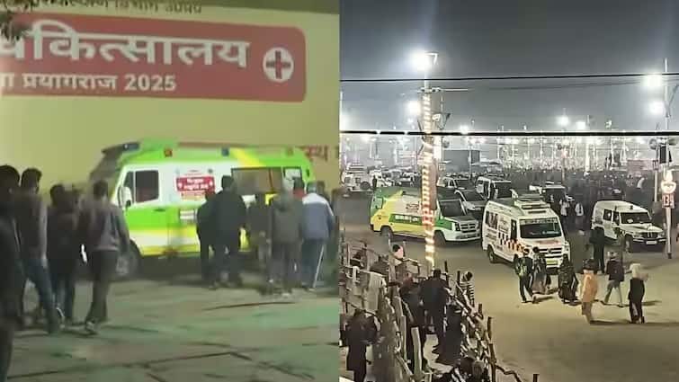 10 people died in the Stampederush in Mahakumbh no official confirmation yet Mahakumbh Stampede News: મહાકુંભમાં નાસભાગમાં 10 લોકના મોત, હજુ સુધી કોઈ સત્તાવાર પુષ્ટિ નહિ