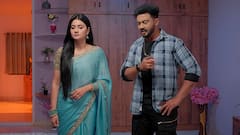 Satyabhama Serial Today January 29th Highlights: సంజయ్ కి వార్నింగ్ ఇచ్చిన సంధ్య.. సత్య మాట కాదని రంగంలోకి దిగిన క్రిష్  - సత్యభామ జనవరి 29ఎపిసోడ్ హైలెట్స్!