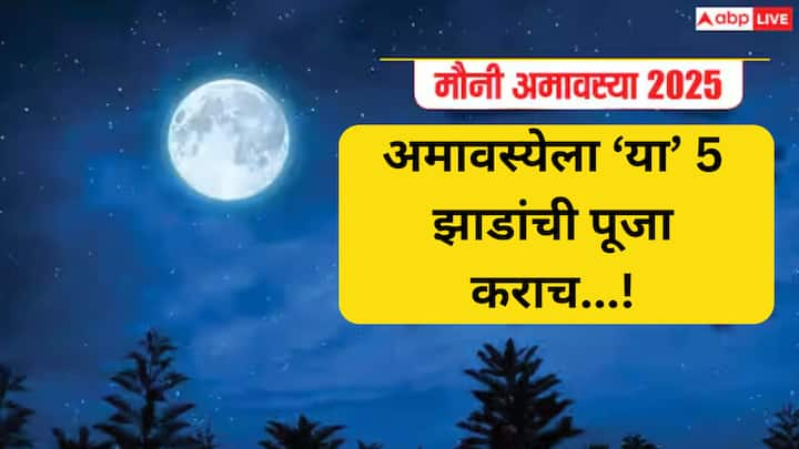 Mauni Amavasya 2025 : अमावस्या तिथीला स्नान, दान आणि पूजा करण्याला विशेष महत्त्व आहे. पण, माघ महिन्यात येणाऱ्या अमावस्येला काही झाडा-झुडुपांची पूजा करणं शुभ मानलं जातं.