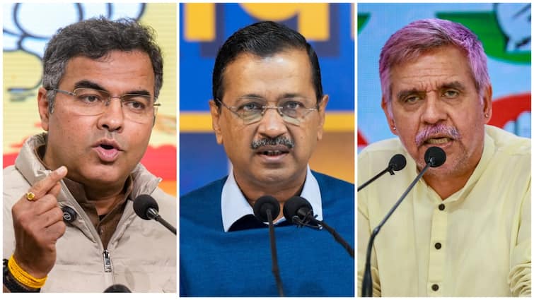 'Sheesh Mahal' To Slums, Purvanchalis to Pollution: 8 Issues That Will Decide Delhi Assembly Polls