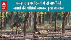 ABP News