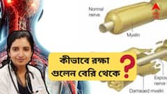 গুলেন বেরি থেকে বাঁচার কি কোনও উপায় নেই? কাদের ঝুঁকি সবথেকে বেশি?