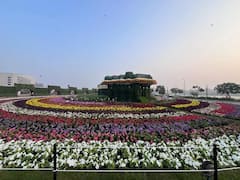 Ahmedabad Flower show: ફ્લાવર શોના ફુલોના છોડ લોકો ખરીદી શકશે, જાણો કિંમત અને સ્થળ