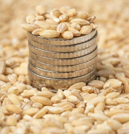 ਸਰਕਾਰ ਨੇ ਕਣਕ ਦੀ ਐਮਐਸਪੀ ਵਿੱਚ 150 ਰੁਪਏ ਪ੍ਰਤੀ ਕੁਇੰਟਲ ਵਾਧਾ ਕਰਕੇ 2425 ਰੁਪਏ ਪ੍ਰਤੀ ਕੁਇੰਟਲ ਤੈਅ ਕੀਤਾ ਹੈ। ਵਪਾਰ ਵਿਸ਼ਲੇਸ਼ਕਾਂ ਅਨੁਸਾਰ ਕਣਕ ਦੀਆਂ ਕੀਮਤਾਂ ਵਿੱਚ ਵਾਧੇ ਦਾ ਕਾਰਨ ਆਫ ਸੀਜ਼ਨ ਹੈ। ਮੰਗ ਮੁਤਾਬਕ ਕਣਕ ਦੀ ਸਪਲਾਈ ਨਹੀਂ ਹੋ ਰਹੀ। ਅਗਲੀ ਵਾਢੀ ਤੋਂ ਪਹਿਲਾਂ ਪ੍ਰਾਈਵੇਟ ਕਾਰੋਬਾਰੀ ਵੀ ਆਪਣਾ ਸਟਾਕ ਸਾਫ਼ ਨਹੀਂ ਕਰਨਾ ਚਾਹੁੰਦੇ।