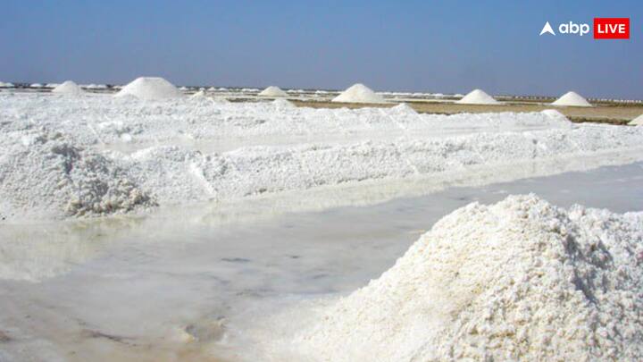 नमक का आम जीवन में बड़ा रोल है. क्योंकि बिना नमक के अच्छे-अच्छे व्यंजन का स्वाद बेकार लगता है. लेकिन क्या आप जानते हैं कि नमक फैक्ट्री में काम करने वाले मजदूरों की स्थिति कितनी गंभीर होती है.