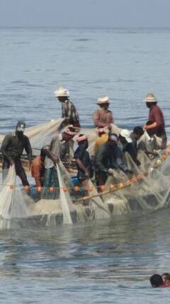 श्रीलंका की जेल से रिहा हुए 6 भारतीय मछुआरे चिन्ई पहुंचे | ABP SHORTS