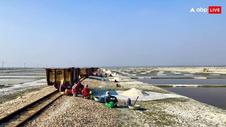 लेकिन जब नमक मजदूरों की मौत होती है, तो कई बार उनके पैर चिता में नहीं जलते हैं. बता दें कि ऐसा इसलिए होता है,क्योंकि नमक के प्रभाव के कारण इनका शरीर कठोर बना जाता है.