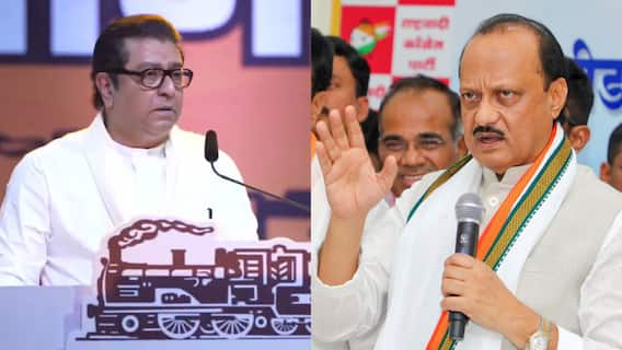 Raj Thackeray: 1 खासदार असणारे अजित पवार 42 जागा कसे जिंकू शकतात, राज ठाकरेंनी गणित मांडलं,  विधानसभा निकालाची पिसं काढली!