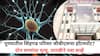Guillain Barre Syndrome:  पुण्यातील सिंहगड परिसर जीबीएसचा हॉटस्पॉट? दोन रुग्णांचा मृत्यू, तातडीने नवा सर्व्हे