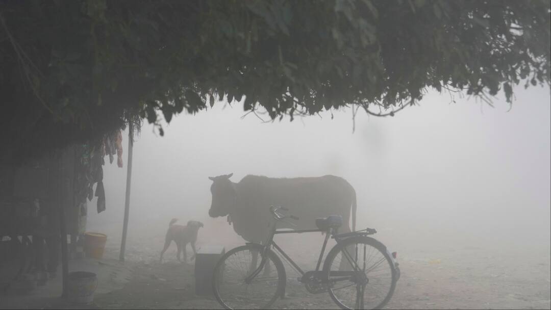 Bihar Weather: बिहार में 1 फरवरी से फिर बढ़ेगी ठंड, आज 15 जिलों में येलो अलर्ट, हाजीपुर का AQI 350 पार Bihar Weather Update Today 30 January Dense Fog IMD Hajipur Muzaffarpur Air Quality Very Poor Bihar Weather: बिहार में 1 फरवरी से फिर बढ़ेगी ठंड, आज 15 जिलों में येलो अलर्ट, हाजीपुर का AQI 350 पार