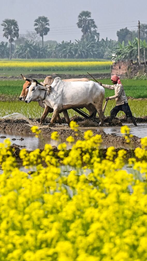 बजट से पहले किसानों की हैं ये तमाम उम्मीदें