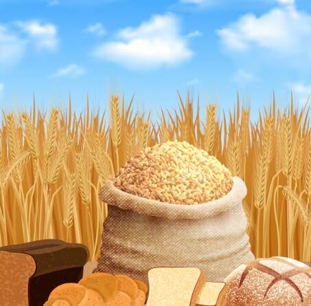 ਜਦੋਂਕਿ ਕਣਕ ਤੋਂ ਬਿਸਕੁਟ, ਬਰੈੱਡ ਤੇ ਹੋਰ ਖਾਣ-ਪੀਣ ਦੀਆਂ ਚੀਜ਼ਾਂ ਬਣਾਉਣ ਵਾਲੀਆਂ FMCG ਕੰਪਨੀਆਂ ਨੇ ਕਣਕ ਦੀ ਬੰਪਰ ਖਰੀਦ ਕੀਤੀ ਹੈ। ਸਰਕਾਰ ਵੱਲੋਂ ਸਟਾਕ ਸੀਮਾ ਲਾਗੂ ਕਰਨ ਤੋਂ ਪਹਿਲਾਂ ਹੀ ਵਪਾਰੀਆਂ ਕੋਲ ਬਹੁਤਾ ਸਟਾਕ ਨਹੀਂ ਬਚਿਆ ਸੀ। ਇਸ ਦੇ ਨਾਲ ਹੀ ਕੇਂਦਰ ਲਈ ਕਣਕ ਦਾ ਸਟਾਕ ਤੇ ਵੰਡ ਕਰਨ ਵਾਲੀ ਨੋਡਲ ਏਜੰਸੀ ਐਫਸੀਆਈ ਨੇ ਸਰਕਾਰੀ ਸਟਾਕ ਤੋਂ ਕਣਕ ਦੀ ਸਪਲਾਈ ਕਰਨ ਵਿੱਚ ਦੇਰੀ ਦਿਖਾਈ ਹੈ।