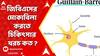 GBS Syndrome: জিবিএসের মোকাবিলা করতে চিকিৎসার খরচ কত ? শুনলে এবাক হবেন