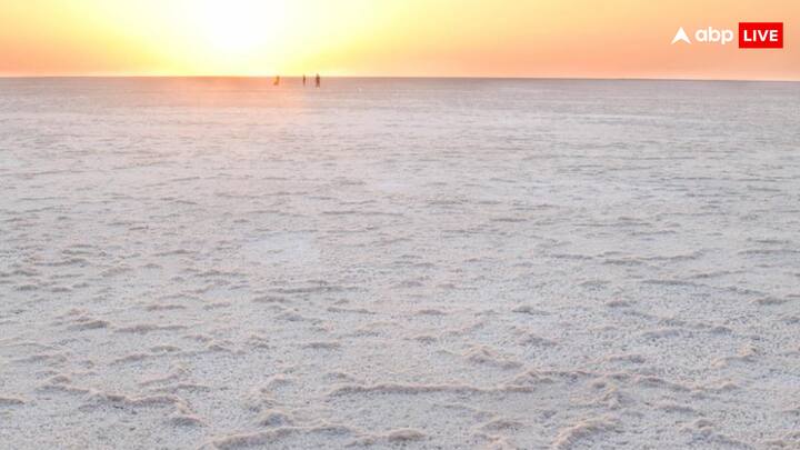 बता दें कि नमक निकालने वाले मजदूरों को “अगरिया” कहा जाता है. खासकर भारत में गुजरात राज्य से नकम की सप्लाई होती है. गुजरात में में 50,000 से अधिक मजदूर नमक उत्पादन में क्षेत्र में काम करते हैं.