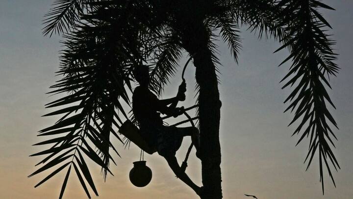 বেশিরভাগ জেলাতেই স্বাভাবিকের ওপরে উঠবে পারদ। সোমবার পর্যন্ত একই রকম থাকবে তাপমাত্রা খুব একটা বড়সড় পরিবর্তন নেই। তারপর দু-তিন দিন সামান্য নামবে তাপমাত্রা। ফেব্রুয়ারির দ্বিতীয় সপ্তাহেই শীতের বিদায়।