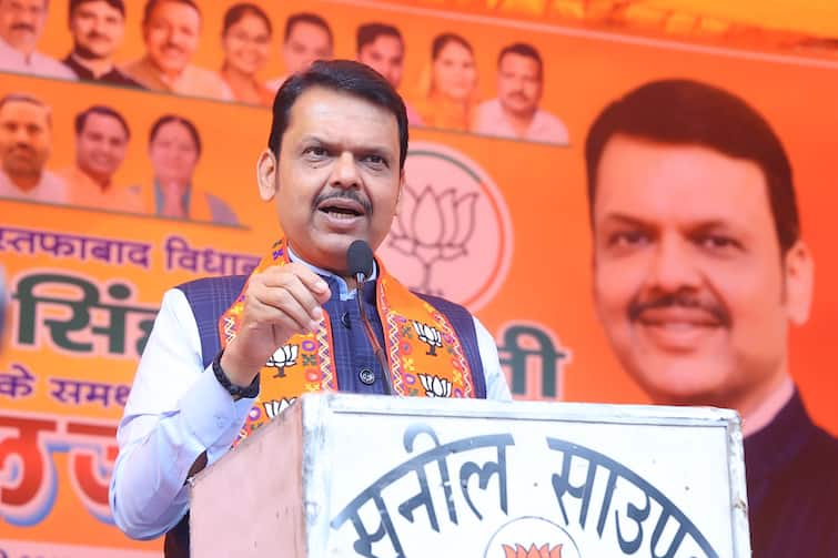 'People Of Northeast Delhi Will Never Be Safe If...': Fadnavis Says During BJP Rally In Mustafabad