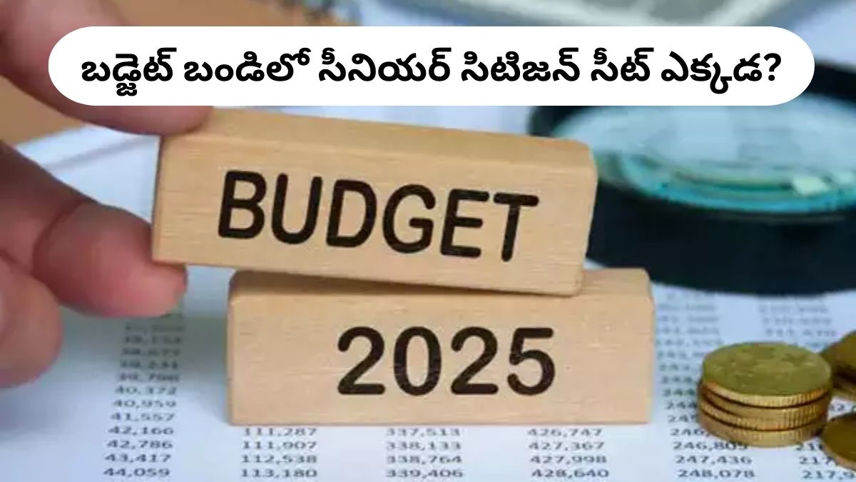 Budget 2025: బడ్జెట్‌ బాక్స్‌ నుంచి సీనియర్ సిటిజన్‌కు ఎంత ప్రయోజనం లభిస్తుంది?