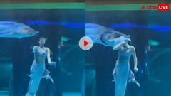 पानी में जलपरी बनकर तैर रही थी लड़की, अचानक शार्क ने जकड़ ली गर्दन- खौफनाक है वीडियो