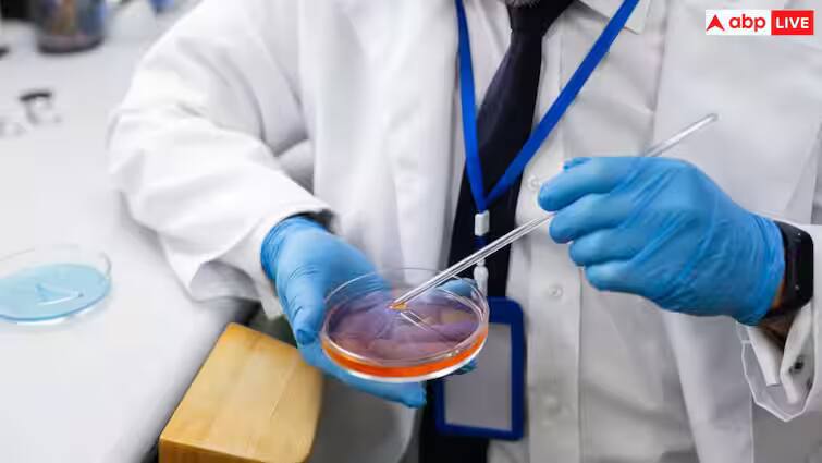 lifestyle: હવે તમે કોઈપણ ઉંમરે બની શકશો માતાપિતા, લેબમાં બનશે સ્પર્મ અને એગ્સ scientists-are-close-to-developing-in-vitro-gametogenesis-ivg-to-create-eggs-and-sperm-in-labs lifestyle: હવે તમે કોઈપણ ઉંમરે બની શકશો માતાપિતા, લેબમાં બનશે સ્પર્મ અને એગ્સ