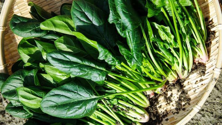 4. Spinach: Spinach has folate present in it which is an essential nutrient that helps in the production of serotonin. This leafy green combats the feeling of depression and anxiety, making it a mood lifting food. (Image Source: Canva)