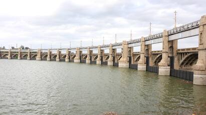 Mettur dam water flow increased to 422 cubic feet tnn மேட்டூர் அணையின் நீர்வரத்து 422 கன அடியாக உயர்வு... இன்றைய நீர் நிலவரம் இதுதான்