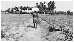 తెలంగాణలో పల్లీ రైతులకు గిట్టుబాటు ధర గండం- పత్తి రైతుల మాదిరి ఆత్మహత్యలు తప్పవంటు ఆగ్రహం