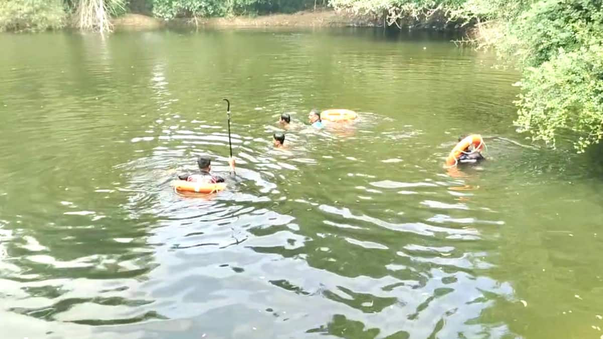 மகன் கண்முன்னே நீரில் மூழ்கிய தாய், காப்பாற்ற துடியாய் துடித்த மகன் - சீர்காழி அருகே சோகம்