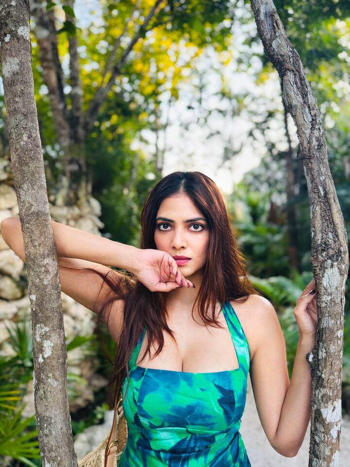 मालविका मोहनन सिद्धात चतुर्वेदी आणि राघव जुयाल यांच्या युध्रा चित्रपटातही झळकली आहे. मालविका सध्या तरुणांच्या गळ्यातील ताईत बनली आहे.