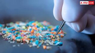 माइक्रोप्लास्टिक के कारण दिमाग की नसें हो जाती हैं ब्लॉक? रिसर्च में हुआ खुलासा