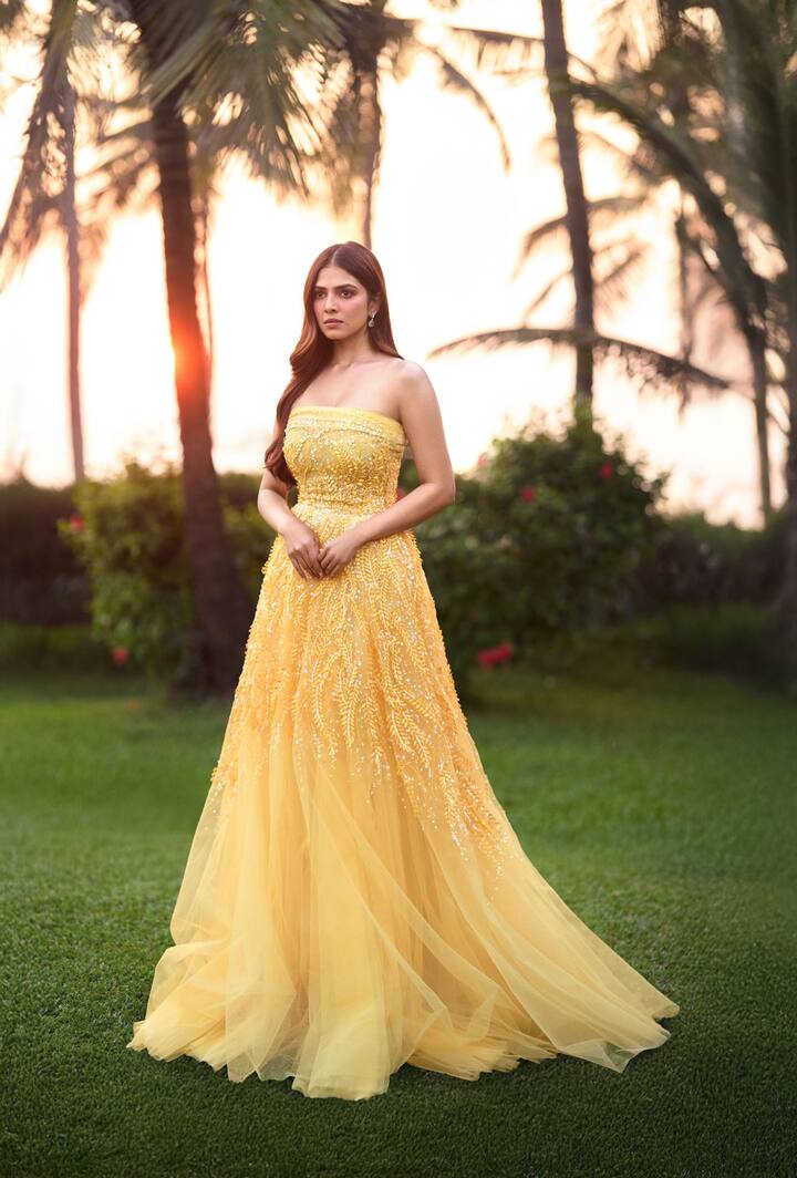 मालविका मोहननने 2013 मध्ये 'पट्टम पोले' या मल्याळम चित्रपटातून तिच्या अभिनय कारकिर्दीला सुरुवात केली, त्यानंतर ती आतापर्यंत अनेक हिट चित्रपटांमध्ये दिसली आहे.