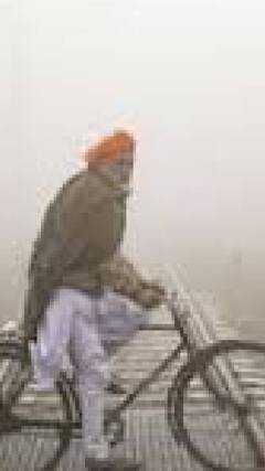 पंजाब के कई जिलों में छाया घाना कोहरा | ABP SHORTS